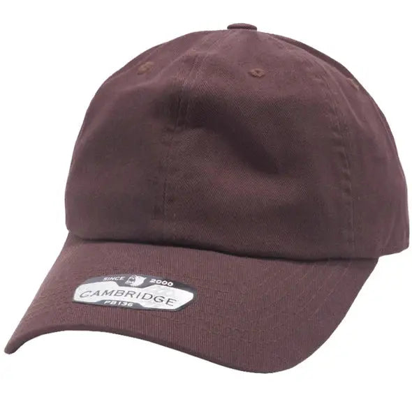 PB136 Pit Bull Cotton Twill Dad Hat PrinthouseOB
