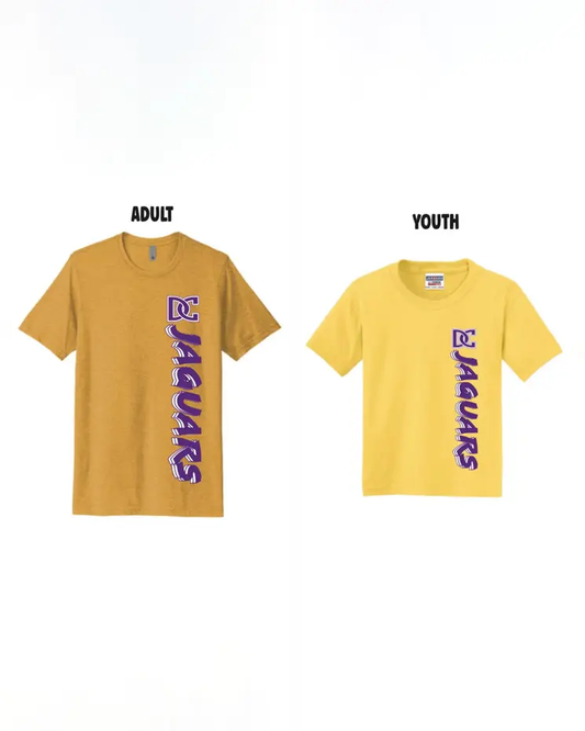 DESOTO CENTRAL - RETRO EFFECT SHIRT PrinthouseOB