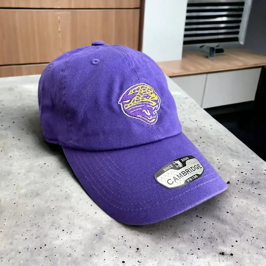 DESOTO CENTRAL - LOGO DAD HAT PrinthouseOB
