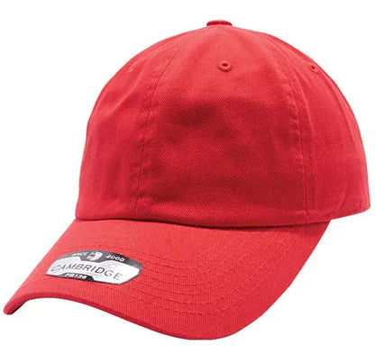 PB136 Pit Bull Cotton Twill Dad Hat PrinthouseOB