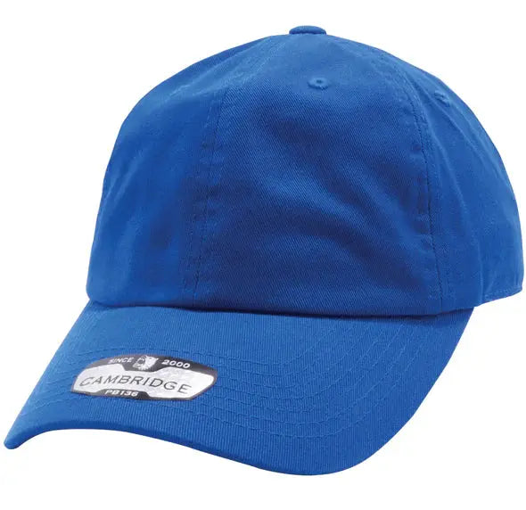 PB136 Pit Bull Cotton Twill Dad Hat PrinthouseOB