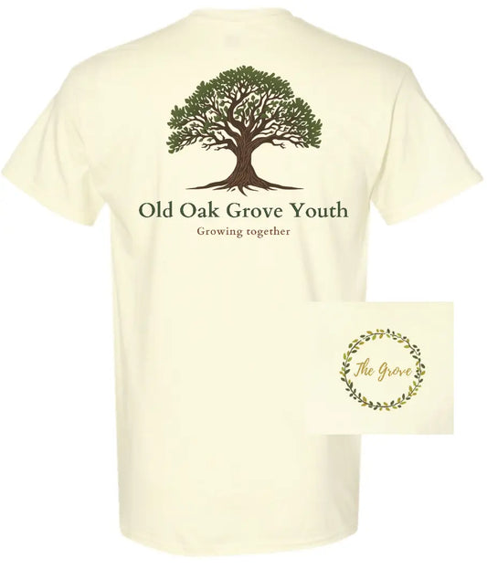 Gildan® Heavy Cotton™ 100% Cotton T-Shirt- Off White - PrinthouseOB