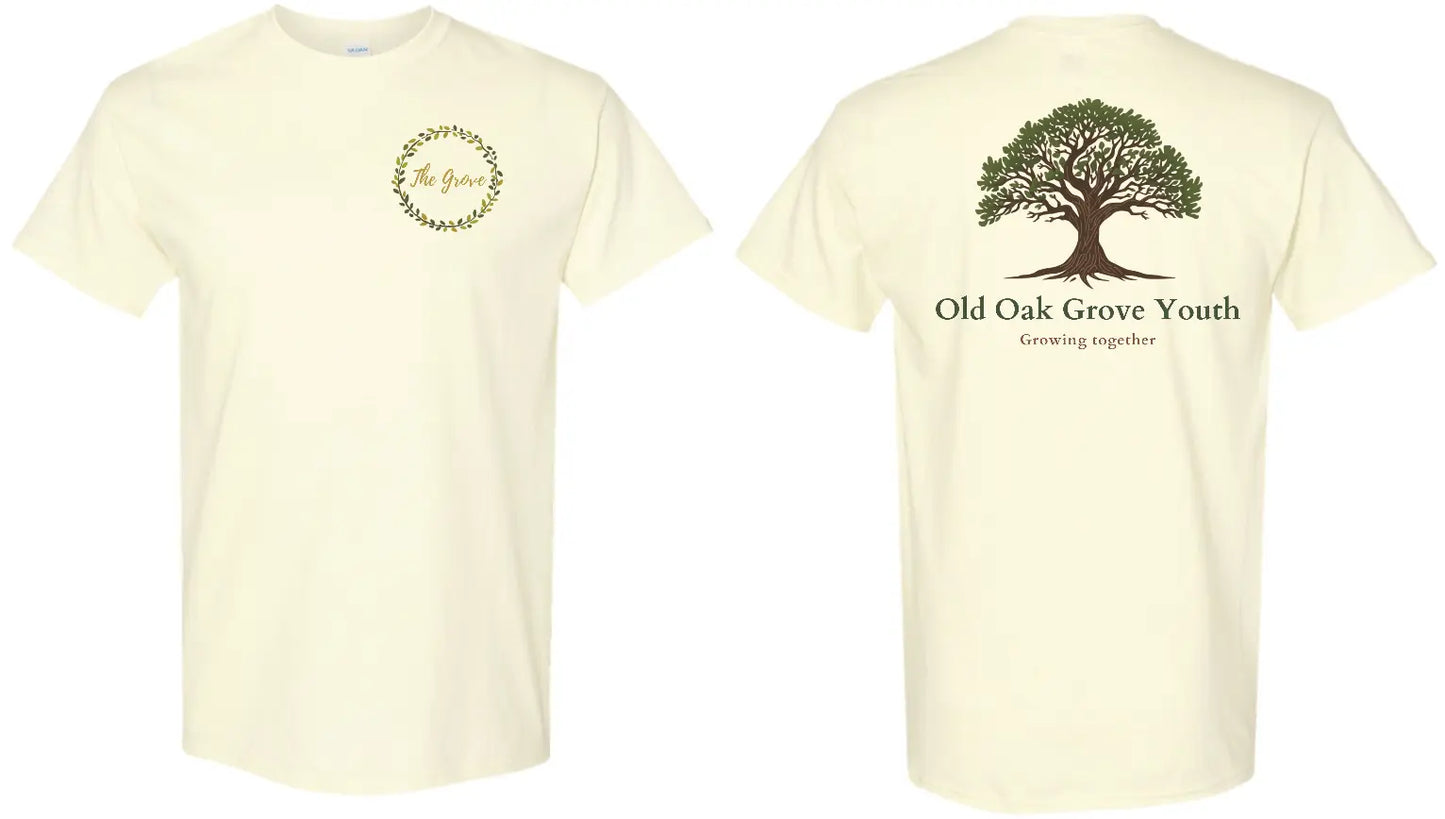 Gildan® Heavy Cotton™ 100% Cotton T-Shirt- Off White - PrinthouseOB