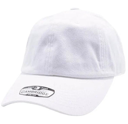 PB136 Pit Bull Cotton Twill Dad Hat PrinthouseOB